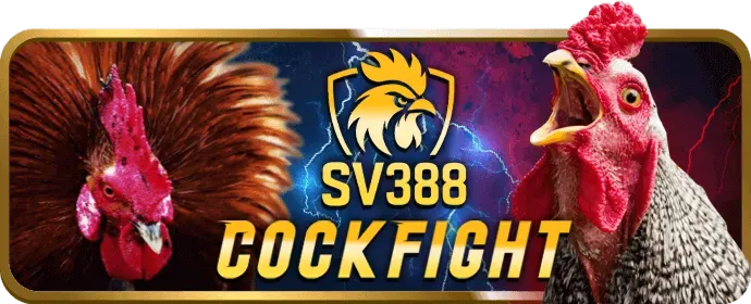 Game thủ eSports đang thi đấu trên máy tính, biểu tượng cho cá cược eSports tại 33win69 code